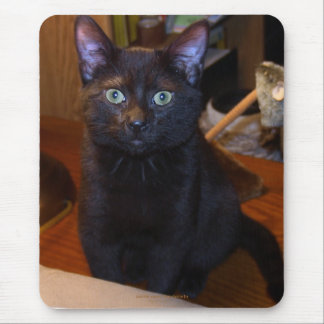 Cute  Black Cat  Mousepad