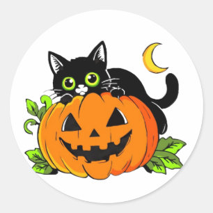 Cute Black Cat on Halloween Jack-O'-Lantern Pumpki Classic Round Sticker