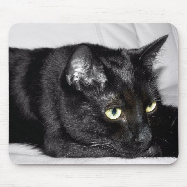 Cute Black Cat Portrait Mouse Pad (Front)