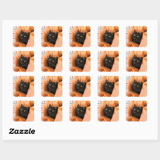 Cute Black Cat Square Sticker
