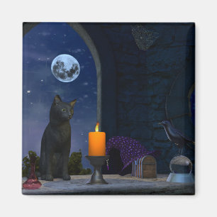 Cute Black Cat Staring at a Candle Magnet