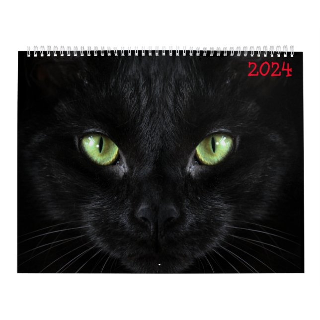 cute black cats  calendar (Cover)