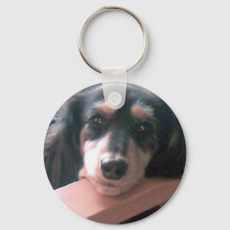 Cute black cream dachshund! key ring