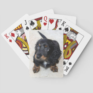 Cute black Dachshund Puppy Dog Playing Cards