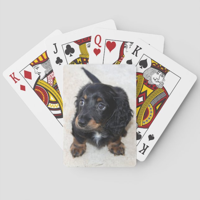 Cute black Dachshund Puppy Dog Playing Cards (Back)