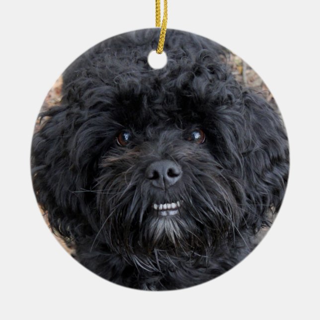 Cute black dog, ceramic ornament (Front)