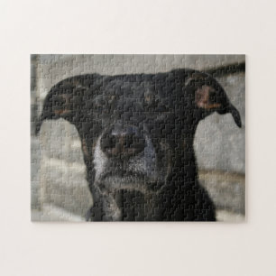 Cute Black Dog Lab Shepherd Mix Breed Hard Evil Jigsaw Puzzle