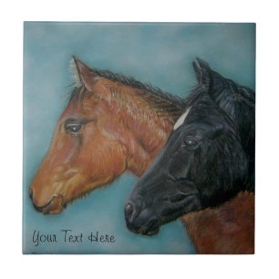 cute black foal chestnut foal colt horses tile