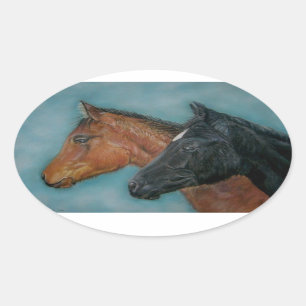 cute black foal chestnut foal colt portrait horse oval sticker