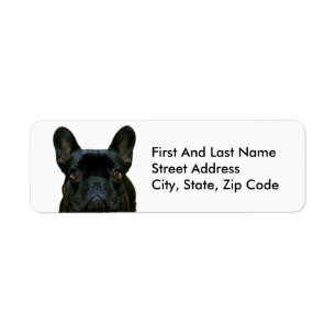 Cute Black French Bulldog Frenchie Photograph: Return Address Label