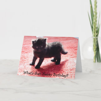 Cute black kitten - funny birthday card