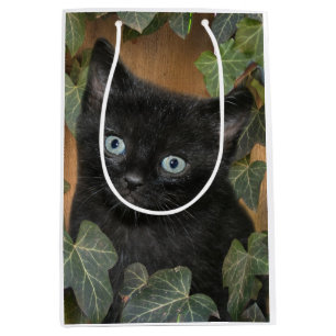Cute black kitten medium gift bag