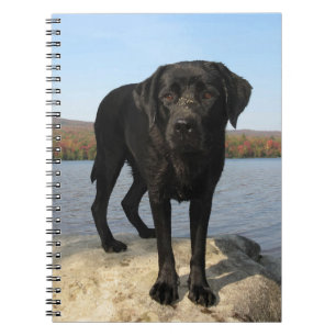 Cute Black Lab Labrador Retriever Dog Notebook