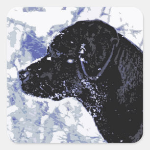 Cute Black Lab Labrador Retriever Dog Square Sticker