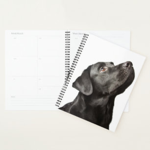 Cute Black Lab Puppy Dog Love Labrador Retriever Planner