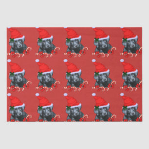 Cute Black Labrador Retriever Christmas Tissue Paper