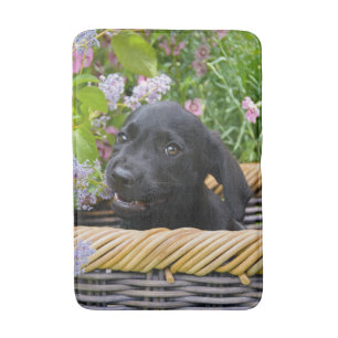 Cute Black Labrador Retriever Dog Puppy Pet Photo Bath Mat