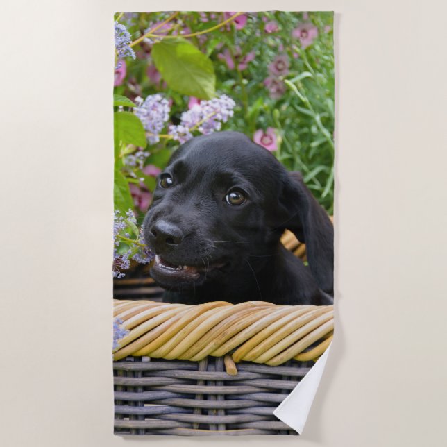 Cute Black Labrador Retriever Dog Puppy Pet Photo Beach Towel (Front)