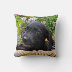 Cute Black Labrador Retriever Dog Puppy Pet Photo Cushion