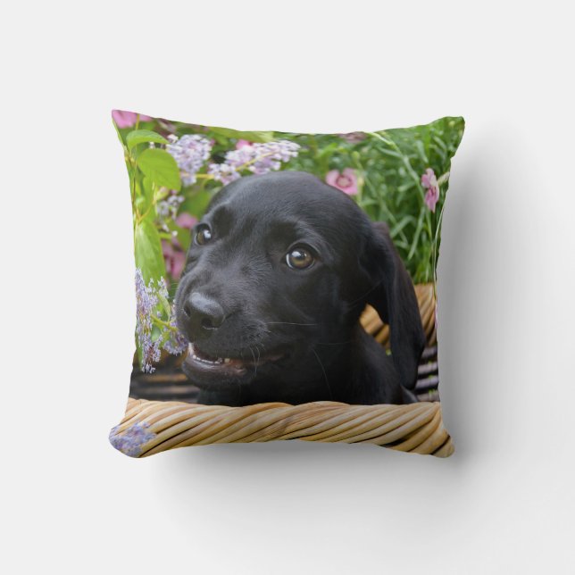 Cute Black Labrador Retriever Dog Puppy Pet Photo Cushion (Front)