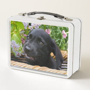 Cute Black Labrador Retriever Dog Puppy Pet Photo Metal Lunch Box