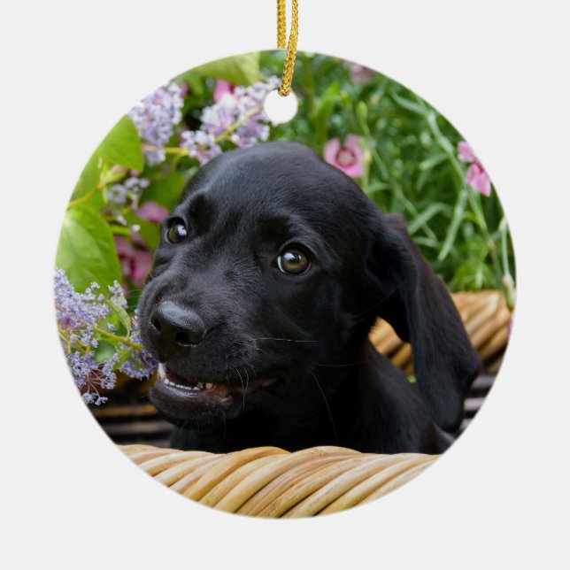 Cute Black Labrador Retriever Dog Puppy Photo .. Ceramic Tree Decoration (Front)