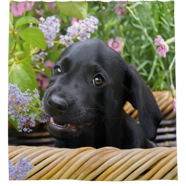 Cute Black Labrador Retriever Dog Puppy Photo  Tub Shower Curtain (Front)