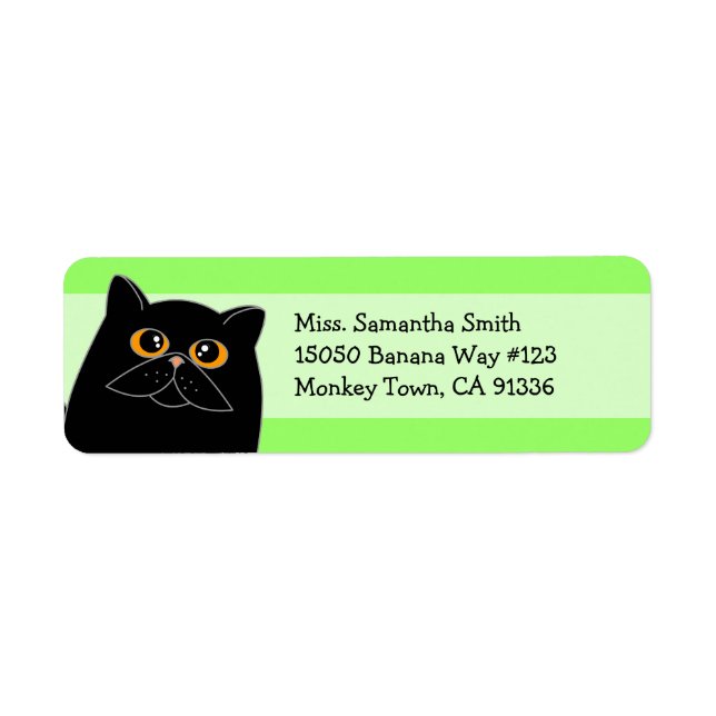 Cute Black Persian Cat Return Address Labels (Front)