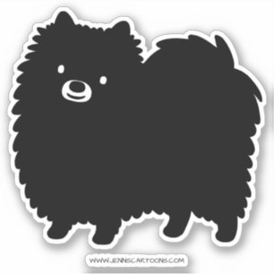 Cute Black Pomeranian Dog   Fluffy Pommie Pom