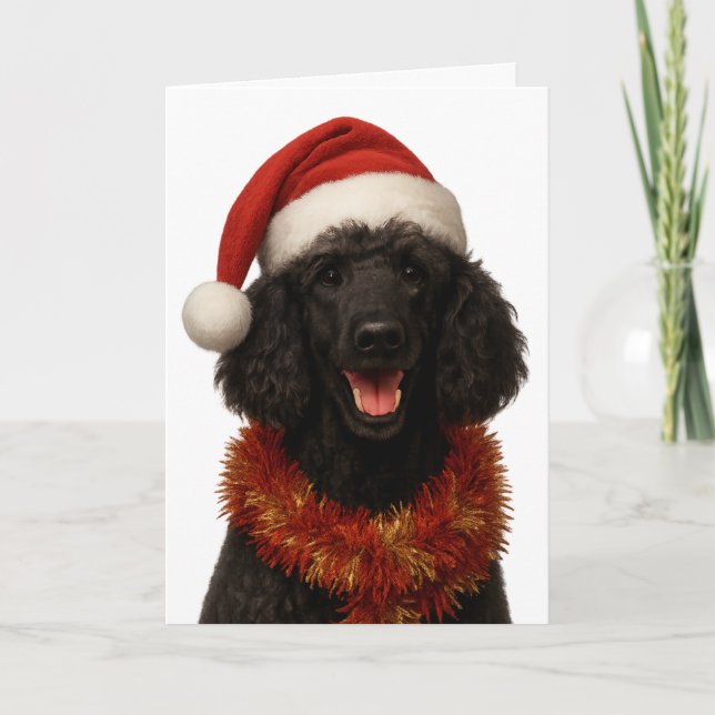 Cute black Poodle Christmas card (Front)