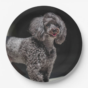 Cute Black Poodle Dog Head Smile Smiling Paper Plate