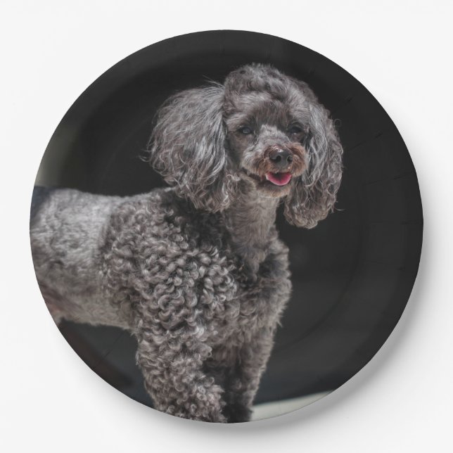 Cute Black Poodle Dog Head Smile Smiling Paper Plate (Front)
