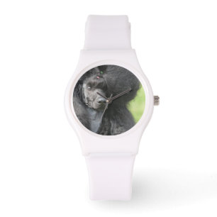 Cute Black Poodle Watch
