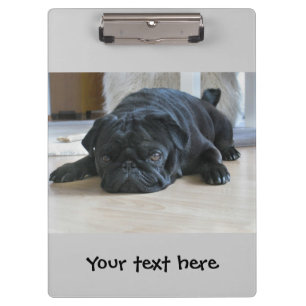 Cute Black Pug Puppy Clipboard