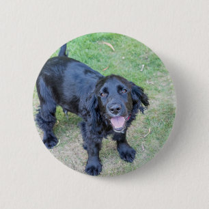 Cute Black Puppy 6 Cm Round Badge