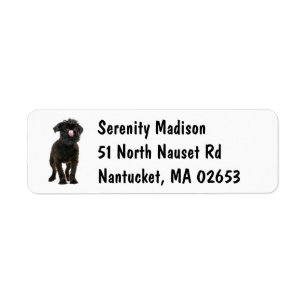 Cute Black Puppy Dog Lover Brussels Griffon Label Return Address Label