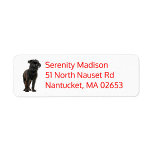 Cute Black Puppy Dog Lover Brussels Griffon Label Return Address Label