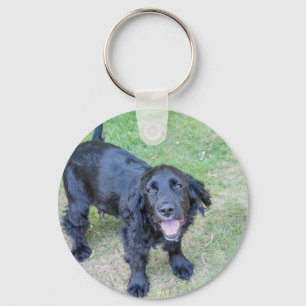 Cute Black Puppy Key Ring