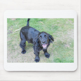 Cute Black Puppy Mouse Pad