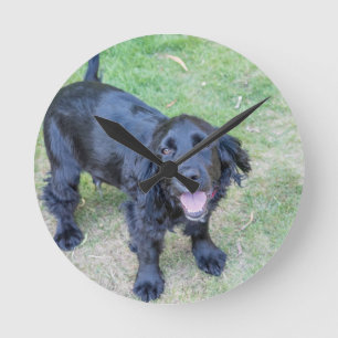 Cute Black Puppy Round Clock