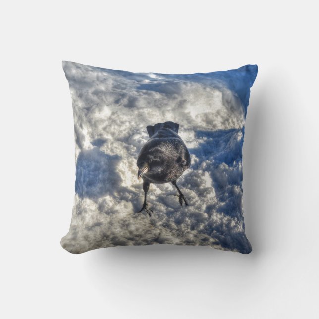 Cute Black Raven in the Snow Photo Cushion (Front)