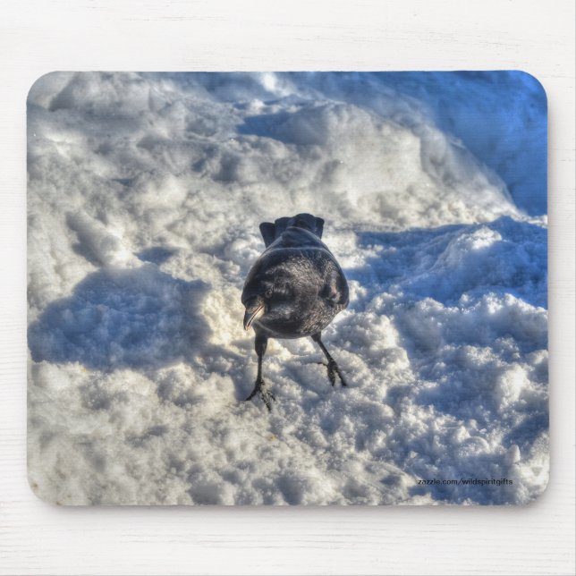 Cute Black Raven in the Snow Photo Mouse Pad (Front)