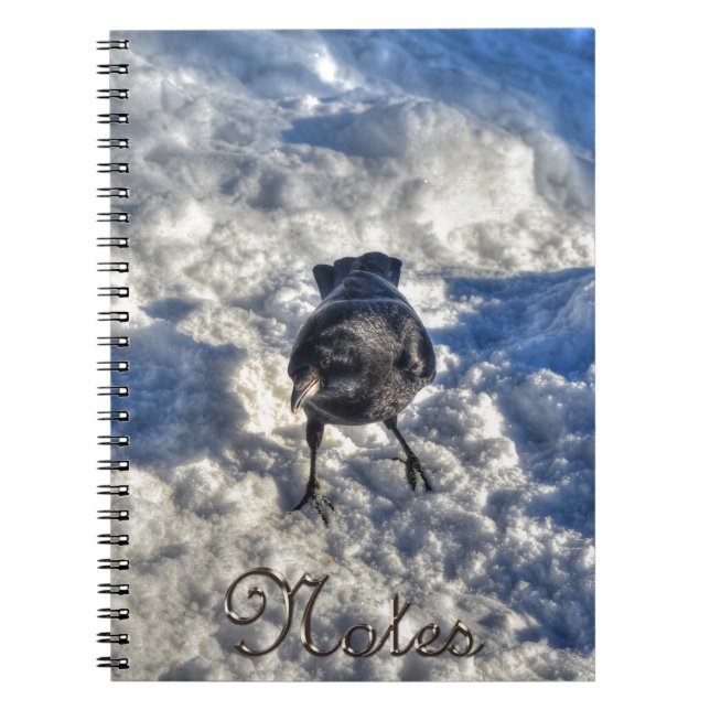 Cute Black Raven in the Snow Photo Notebook (Front)