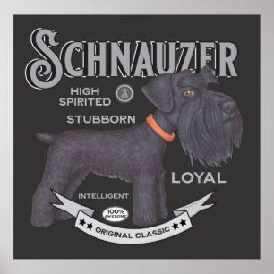 Cute Black Schnauzer  Poster