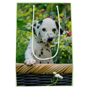 Cute black spotted Dalmatian Baby Dog Puppy Photo Medium Gift Bag