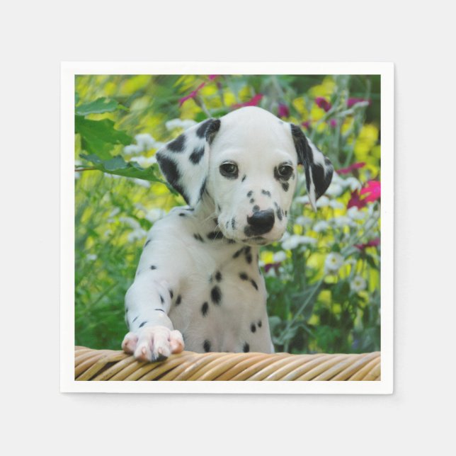 Cute black spotted Dalmatian Baby Dog Puppy Photo Napkin (Front)
