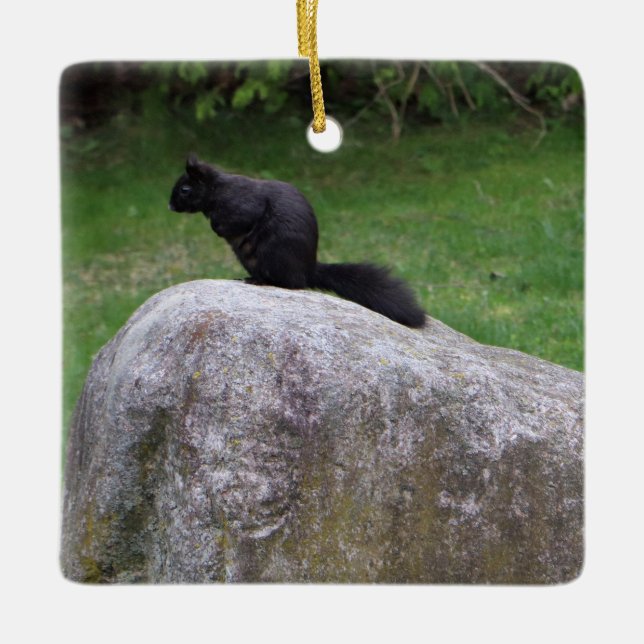 Cute Black Squirrel on a Rock Nature Squirrels     Ceramic Ornament (Front)
