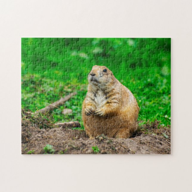 Cute Black-Tailed Prairie Dog Jigsaw puzzle (Horizontal)