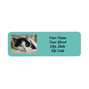 Cute Black White Cat Custom Photo Teal Return Address Label