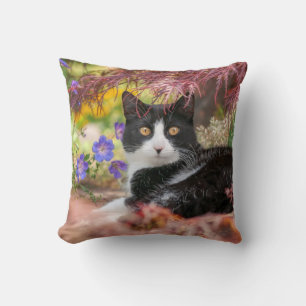 Cute Black-White Cat Resting under a Maple Tree - Cushion